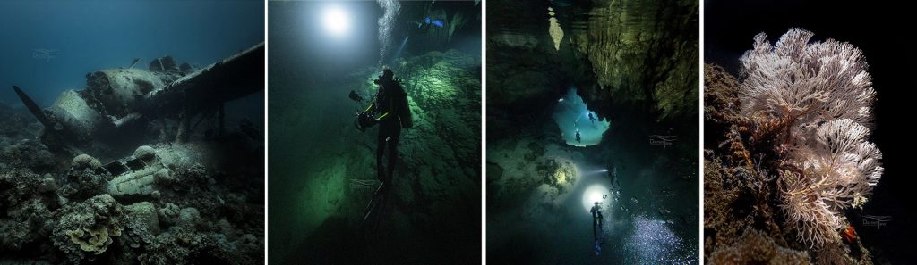 Palau Underwater © Darren Jew